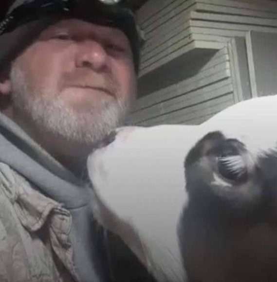 Meet your Posher, Walter - Picture 1 of 1